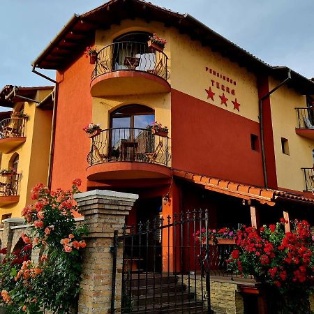 Pension Terra Alba Iulia Luaran gambar